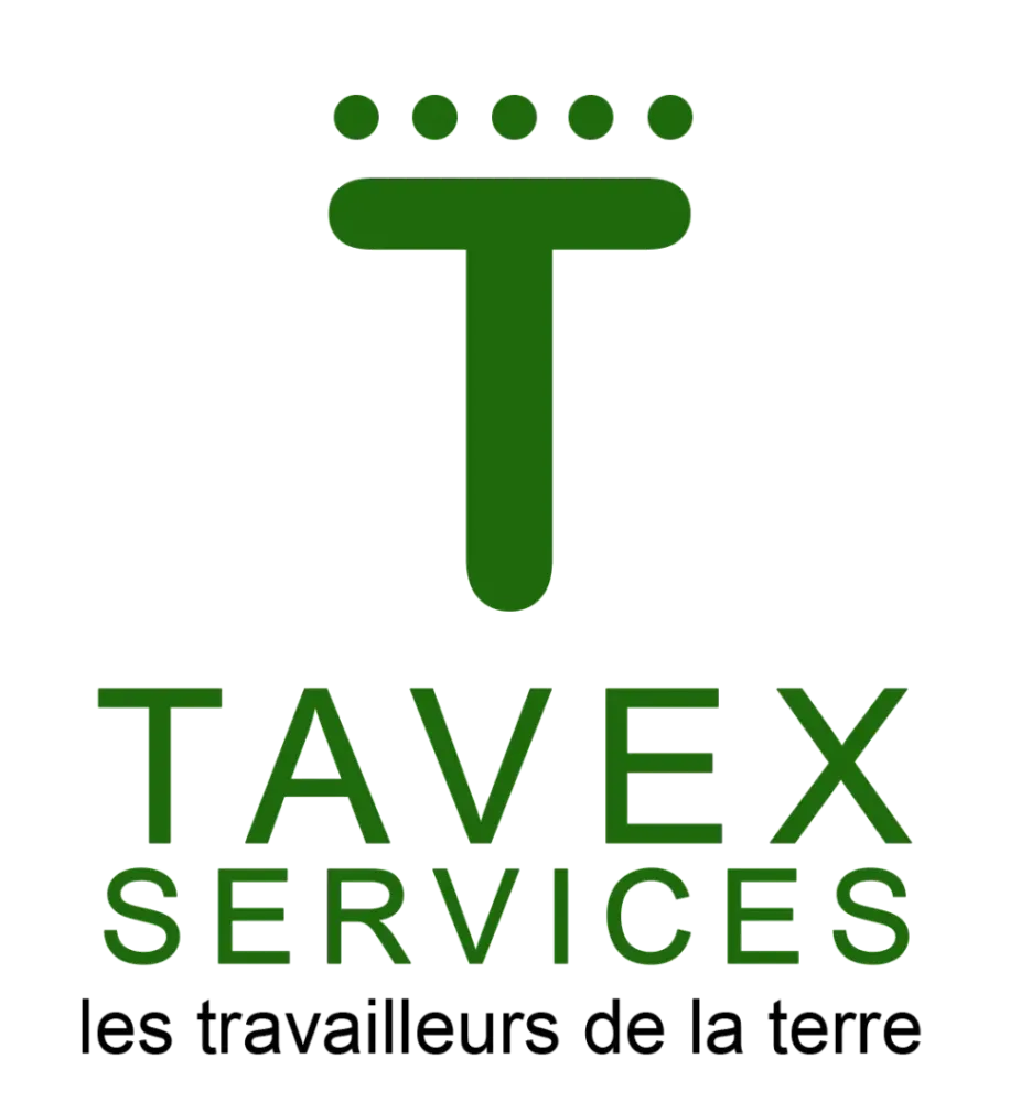Tavex logo (1)