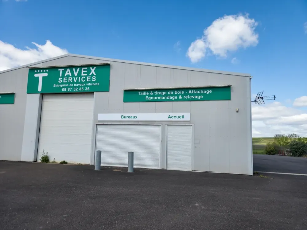 Tavex
